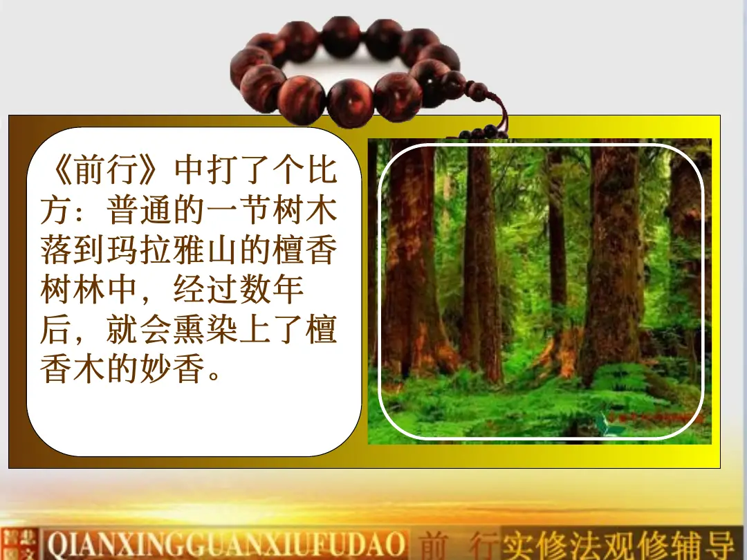 讲义第 12 页