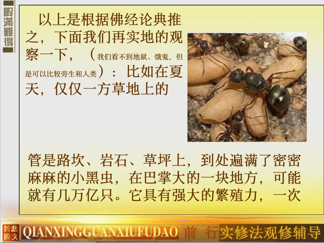 讲义第 24 页