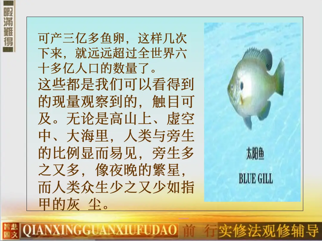 讲义第 25 页