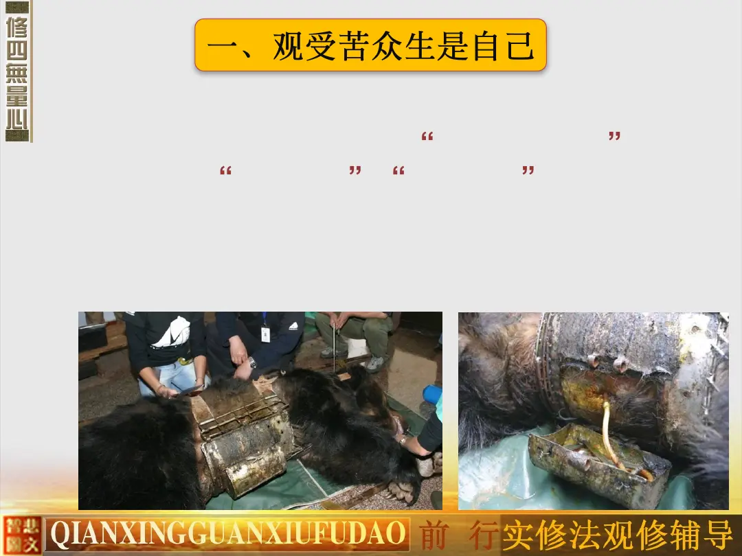 讲义第 48 页