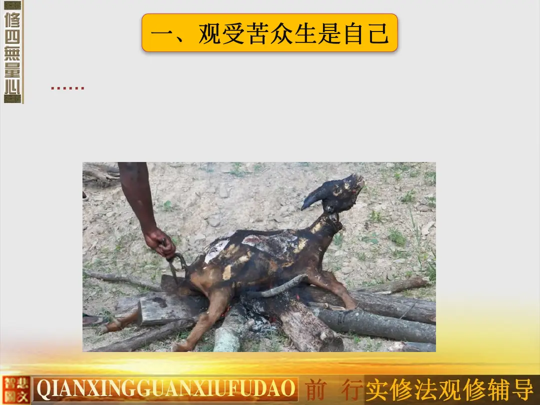 讲义第 49 页