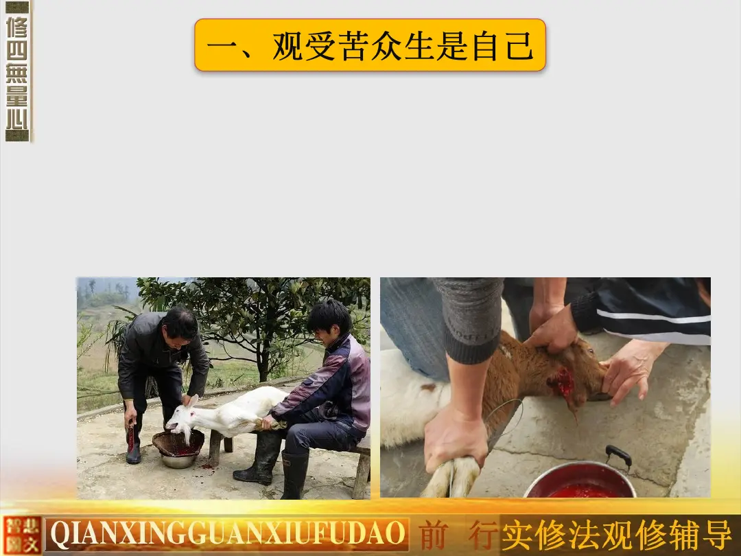 讲义第 50 页