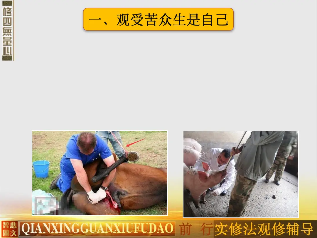 讲义第 51 页