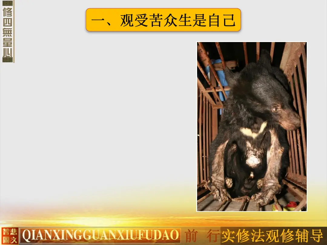 讲义第 52 页