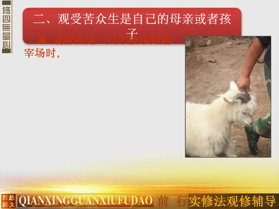 讲义第 53 页