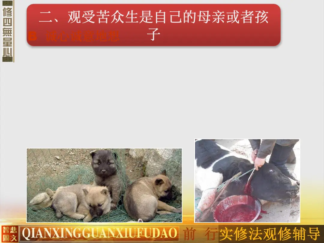 讲义第 54 页