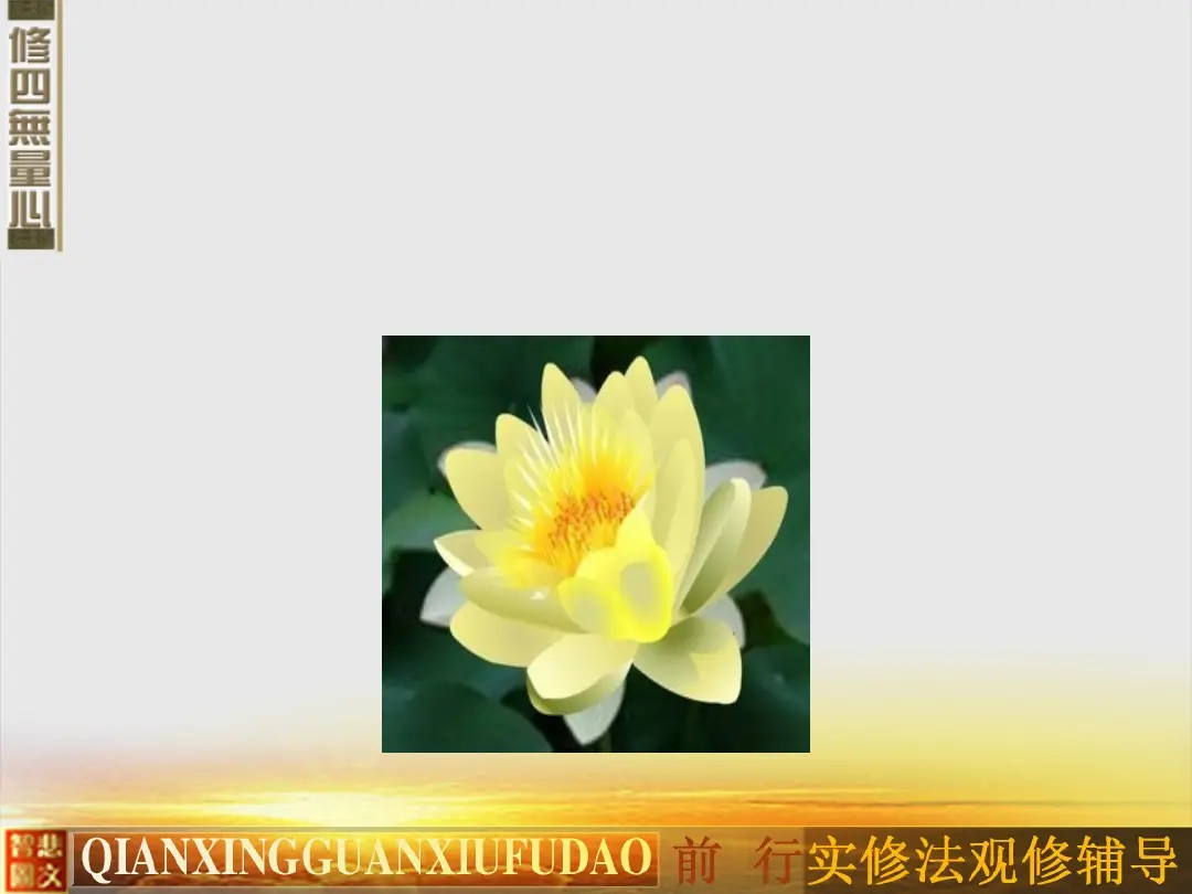 讲义第 53 页