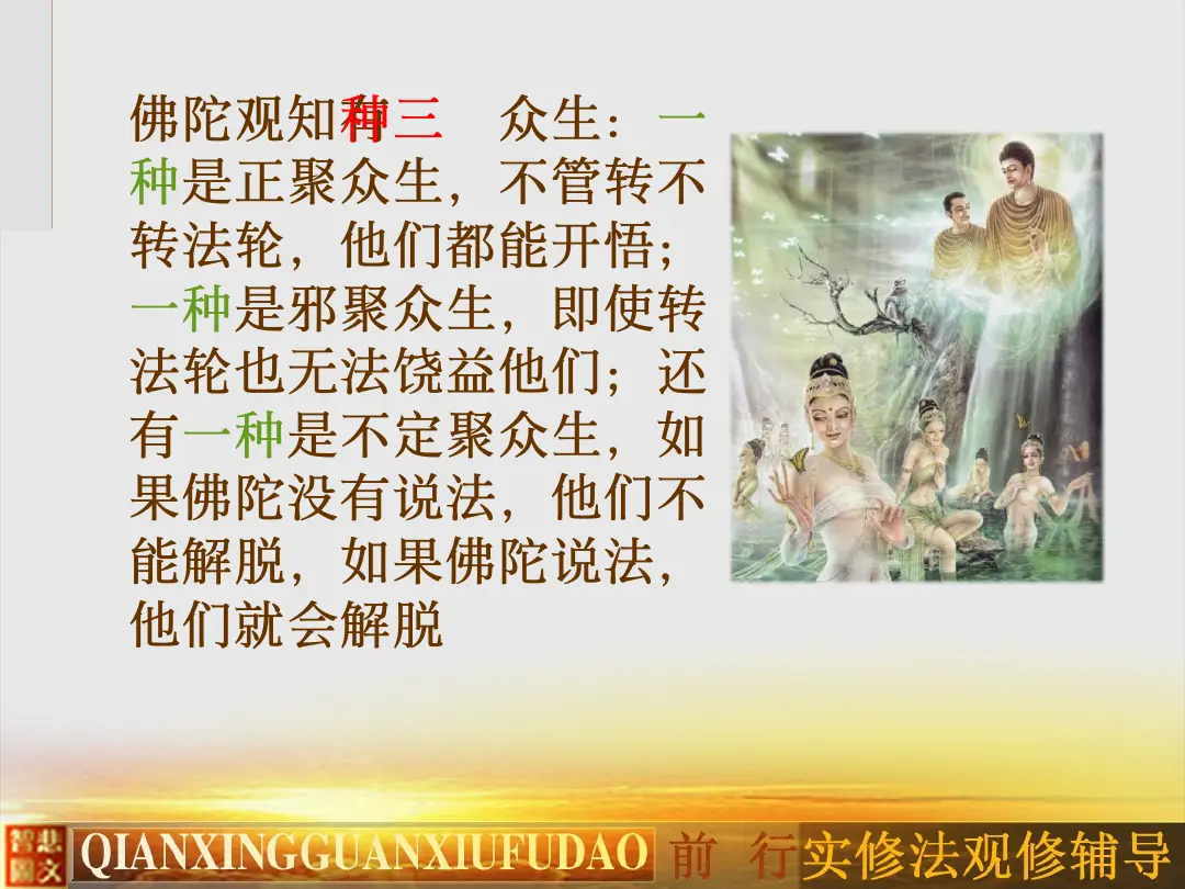 讲义第 55 页