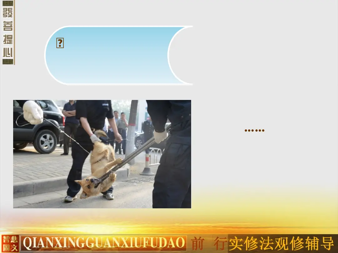 讲义第 13 页