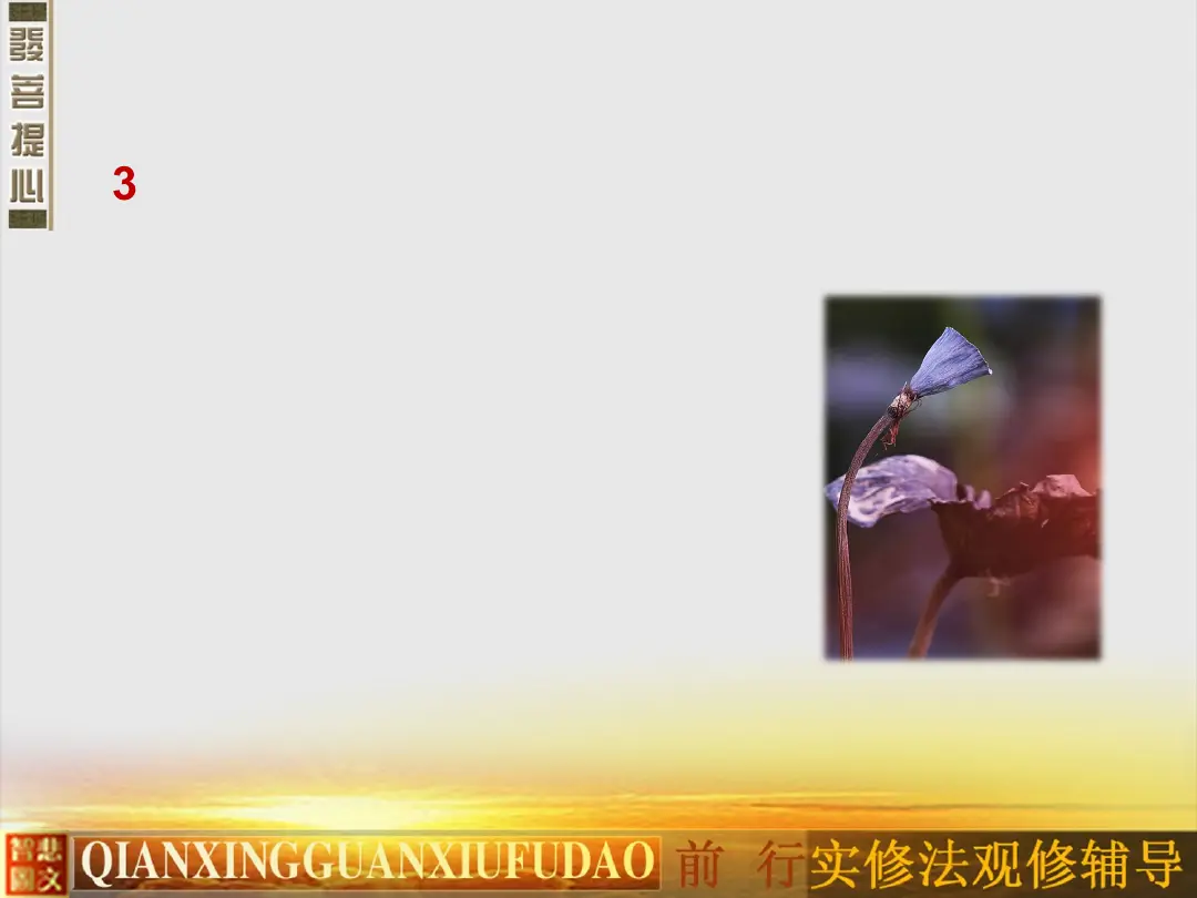 讲义第 13 页