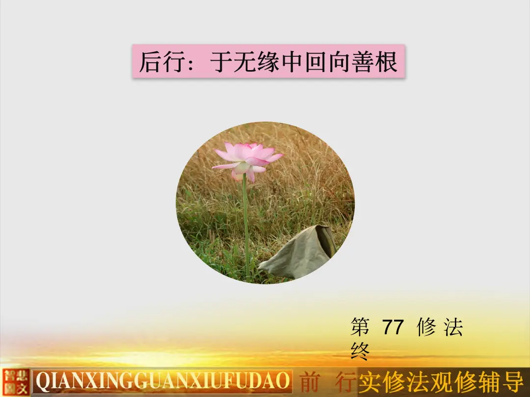 讲义第 50 页