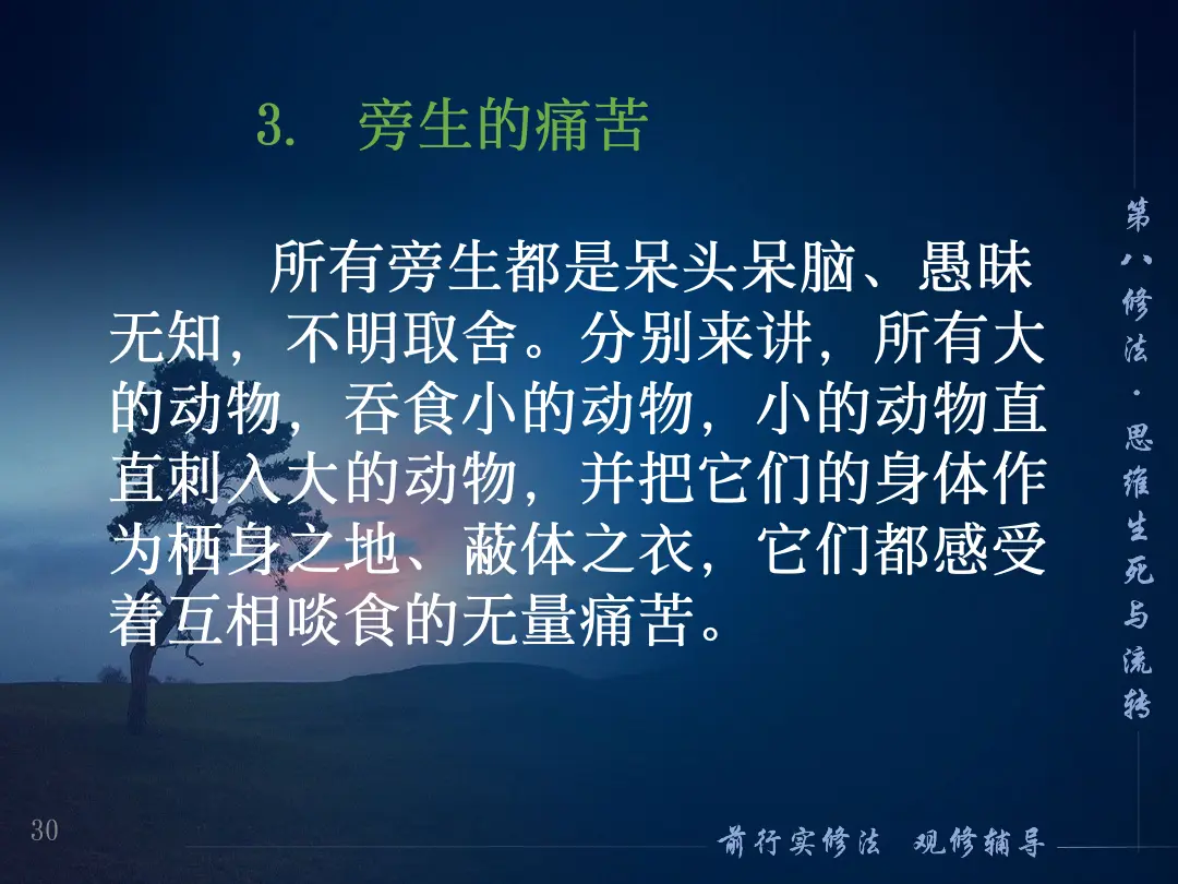 讲义第 30 页