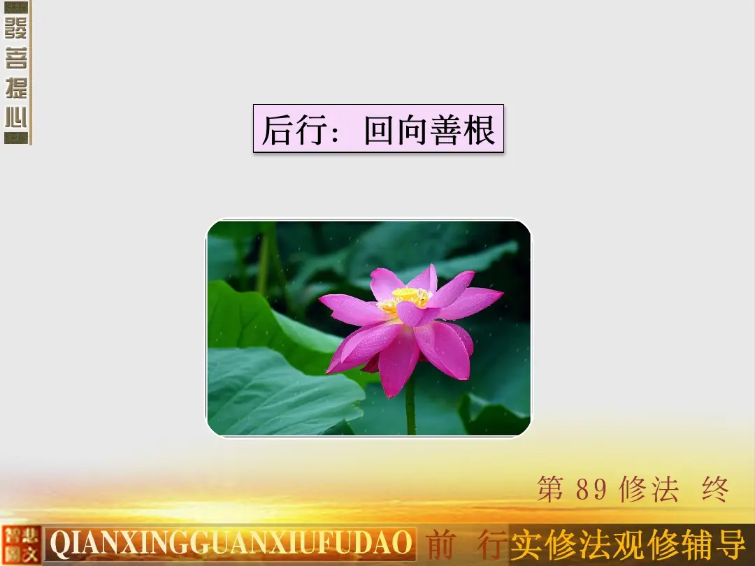 讲义第 52 页