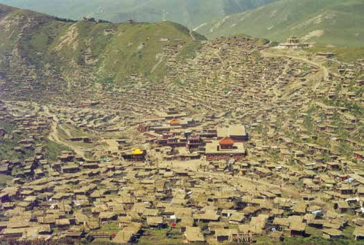 1997年汉僧在“大幻化网坛城”前拜愿1998年的喇荣五明佛学院